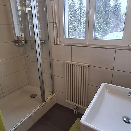 Apartmenthaus Gauenpark Apartment Flumserberg